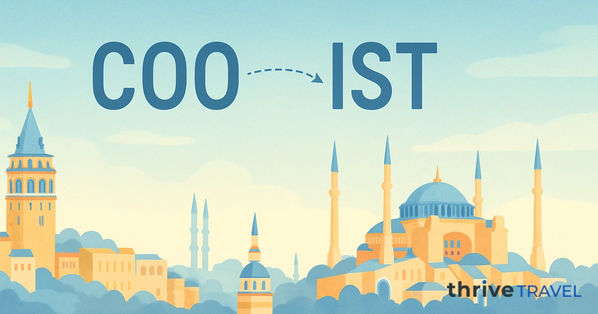 Cotonou to Istanbul